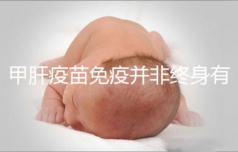 甲肝疫苗免疫并非終身有效，滅活類型抗體持續時間更久