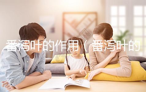 番瀉葉的作用（番瀉葉的作用和效果）