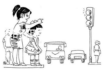 知母的作用與功效（黃柏的作用與功效）