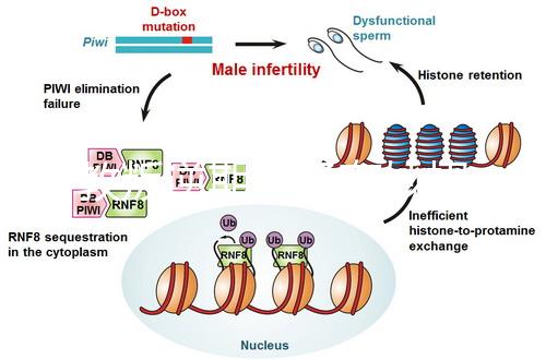 管教叛逆期孩子有妙招，這四個(gè)方法遠(yuǎn)勝封閉式管理