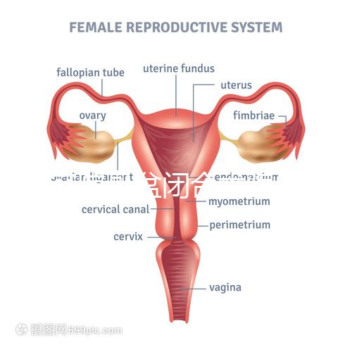 美容院骨盆閉合術(shù)騙局公開，不但沒用還會造成損傷要小心