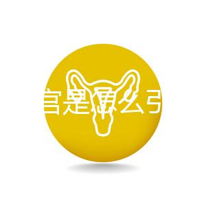 縱隔子宮是怎么引起的？十有八九是這些原因導致