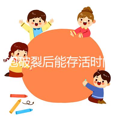 卵泡破裂后能存活時間是多久？別以為24小時就是極限