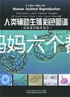 十個準媽媽六個都貧血，別讓貧血傷害你的“好孕”！