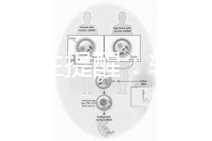 兒科醫生提醒：輪狀疫苗有不良反應，輕微表現持續時間短