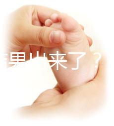 養(yǎng)囊結(jié)果出來(lái)了?3ab囊胚成功率、質(zhì)量好不好看這里