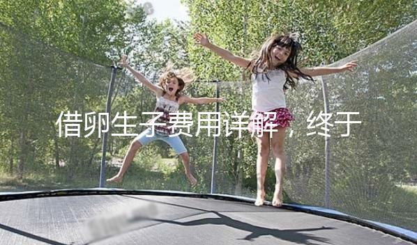 借卵生子費(fèi)用詳解，終于知道用別人卵子做試管要多少錢了