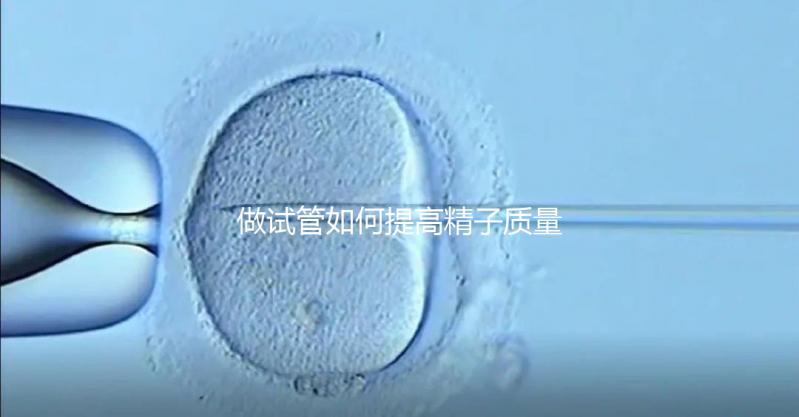 做試管如何提高精子質(zhì)量？五星推薦4個(gè)簡(jiǎn)單小運(yùn)動(dòng)