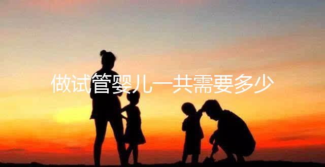 做試管嬰兒一共需要多少錢？