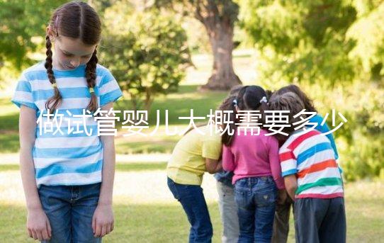 做試管嬰兒大概需要多少錢？