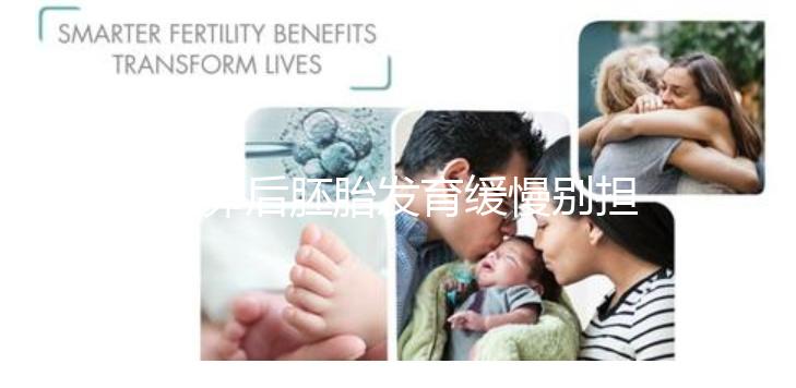 取卵后胚胎發育緩慢別擔心！這么做試管成功率翻倍