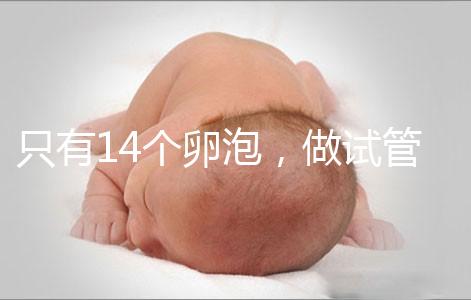 只有14個卵泡，做試管嬰兒到底要不要養囊？