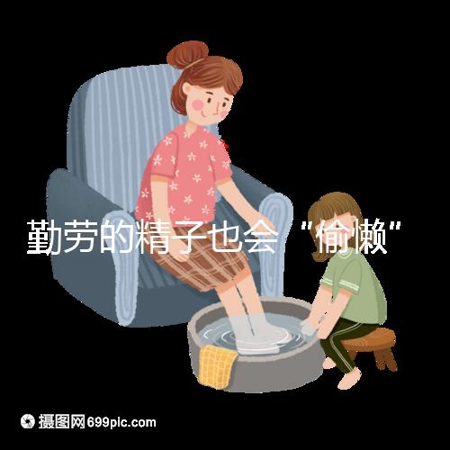 勤勞的精子也會“偷懶”,總動力不足調(diào)養(yǎng)是關(guān)鍵