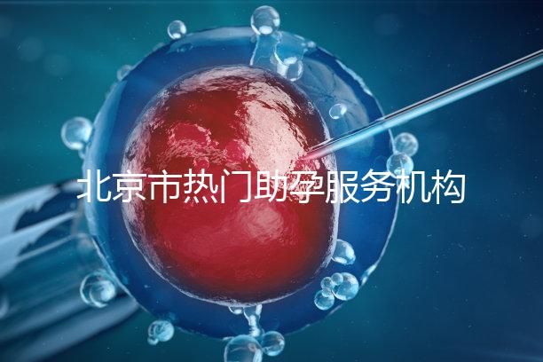 北京市熱門助孕服務(wù)機(jī)構(gòu)排名榜單！這三家性價比比較出眾！