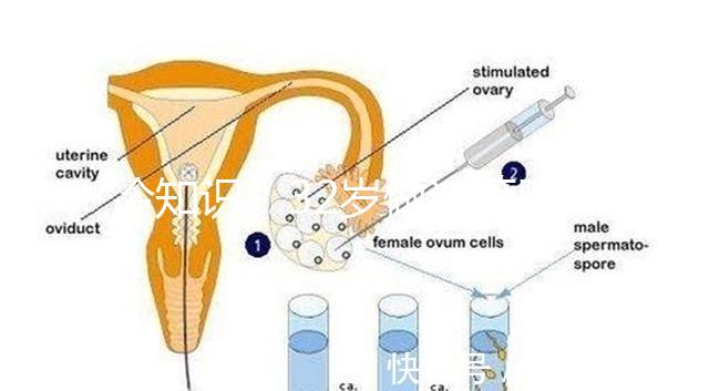 冷知識！32歲做試管嬰兒提升成功率的方法請收藏