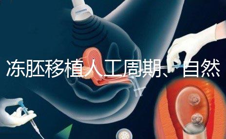凍胚移植人工周期、自然周期怎么選？哪個成功率高？