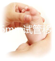 內(nèi)膜16mm試管移植能否著床速覽，可否移植看身體情況