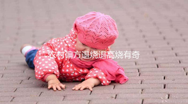 農村偏方退燒退高燒有奇效，路邊常見退燒草別還不認識