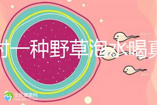 農村一種野草泡水喝真能治便秘！配合這九種中草藥效果更好