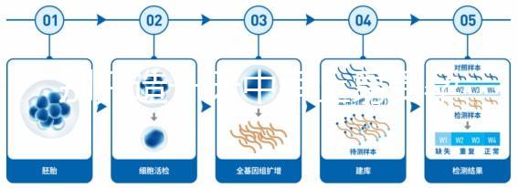 別只造一天中早上易受孕生男孩，60秒教你算出最佳同房時間