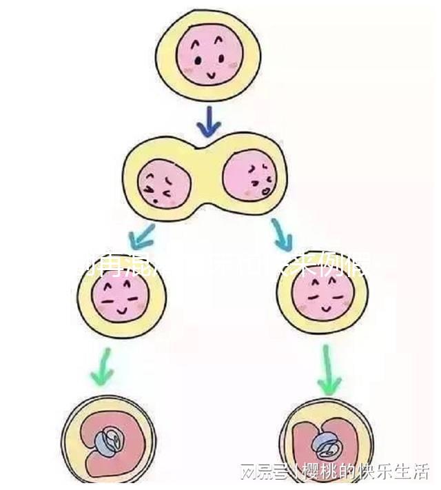 別再混淆著床和快來例假了，除了出血量還有這些區別