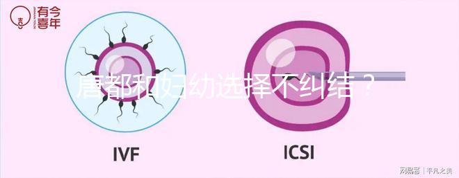 唐都和婦幼選擇不糾結?西安做試管嬰兒前要了解這些......