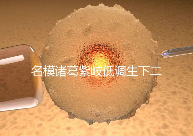 名模諸葛紫岐低調生下二胎，孕7個月肚子扁平成焦點