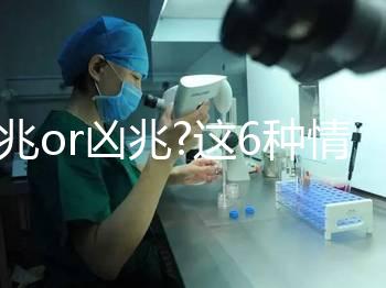 吉兆or兇兆?這6種情形下的孕婦夢見黃鼠狼寓意各不同