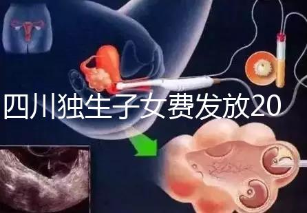 四川獨生子女費發放2024年新規定，如何盡快領取自貢？