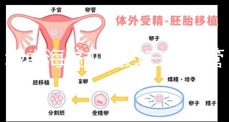 地中海貧血通過三代試管嬰兒真的可以生出健康的孩子嗎？