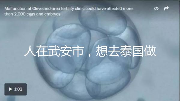 人在武安市，想去泰國(guó)做試管嬰兒生男孩要花多少錢(qián)？