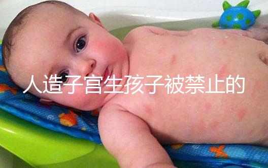 人造子宮生孩子被禁止的原因有三，會不會被允許未成定論