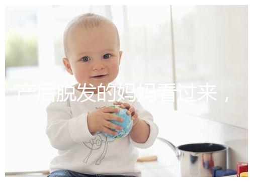 產(chǎn)后脫發(fā)的媽媽看過(guò)來(lái)，4招教你拯救禿頂危機(jī)！
