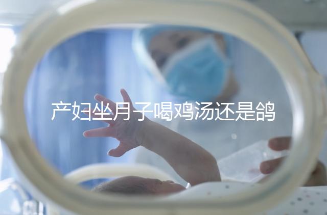 產(chǎn)婦坐月子喝雞湯還是鴿子湯？3個(gè)方面對比分析