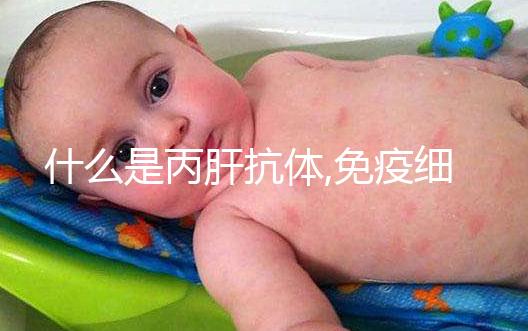 什么是丙肝抗體,免疫細(xì)胞生產(chǎn),介紹了解不針對(duì)病毒本身