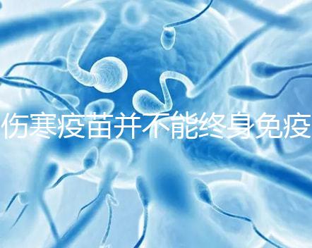 傷寒疫苗并不能終身免疫，有效期過后仍是易感染人群