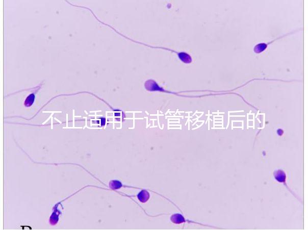 不止適用于試管移植后的胚胎著床,美卓樂的8大作用盤點(diǎn)