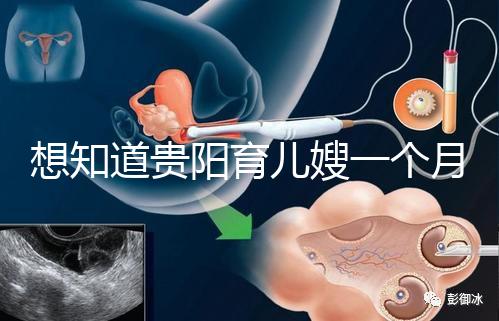 想知道貴陽育兒嫂一個(gè)月戳多少錢，云巖2萬夠不夠