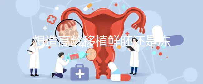 想造高齡移植鮮胚還是凍胚好請進(jìn)，關(guān)鍵看身體適不適合