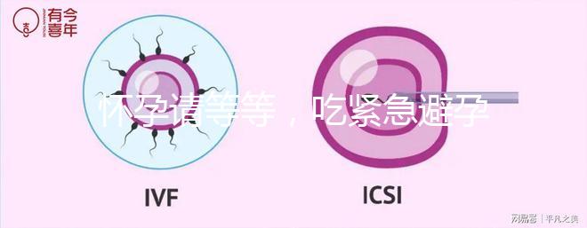 懷孕請等等，吃緊急避孕藥多久能有性生活看專家怎么說