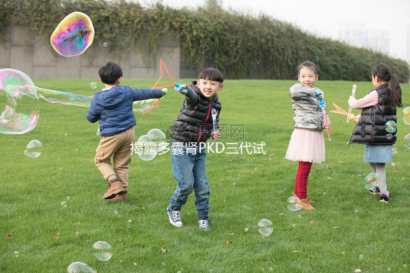 揭露多囊腎PKD三代試管取17個卵異常怎么辦？