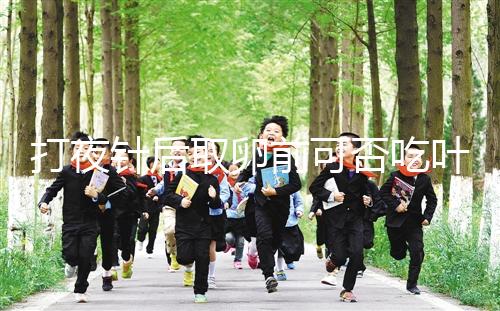 打夜針后取卵前可否吃葉酸看這，能提高卵子質量可別不信