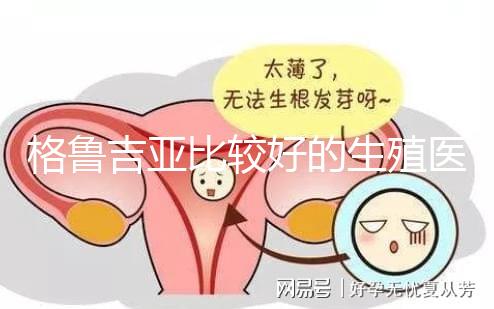 格魯吉亞比較好的生殖醫院是哪家，助孕成功率高還看這4家