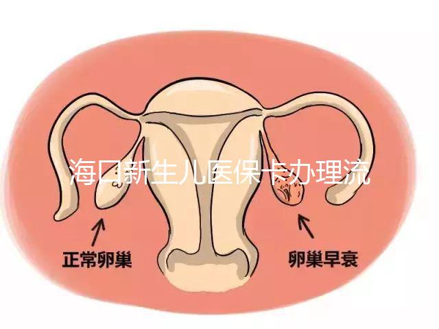 ?？谛律鷥横t(yī)?？ㄞk理流程更新，附2024秀英、龍華區(qū)手續(xù)