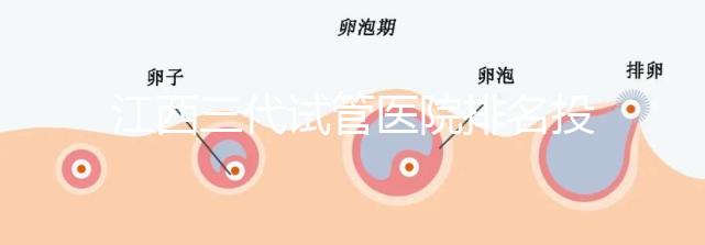 江西三代試管醫院排名投票截止！附前三位成功率和費用詳解