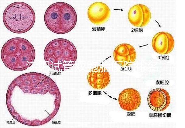 沈陽試管雙胞胎醫院排名速覽，60s告訴你皇姑區有哪些
