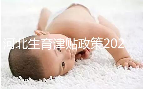 河北生育津貼政策2024，想造石家莊怎么算、多久到賬戳這