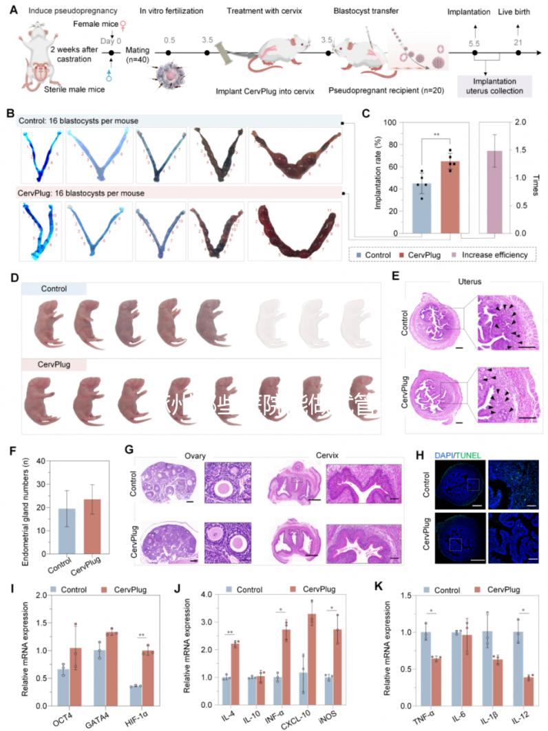 涿州哪些醫院能做試管嬰兒？聽聽姐妹們的答案
