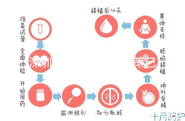 深圳最新獨生子女政策已出爐，羅湖、南山區補貼金均有提高