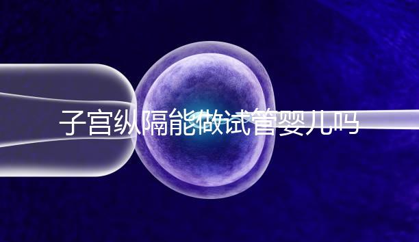 子宮縱隔能做試管嬰兒嗎？妊娠成功率給你最終答案